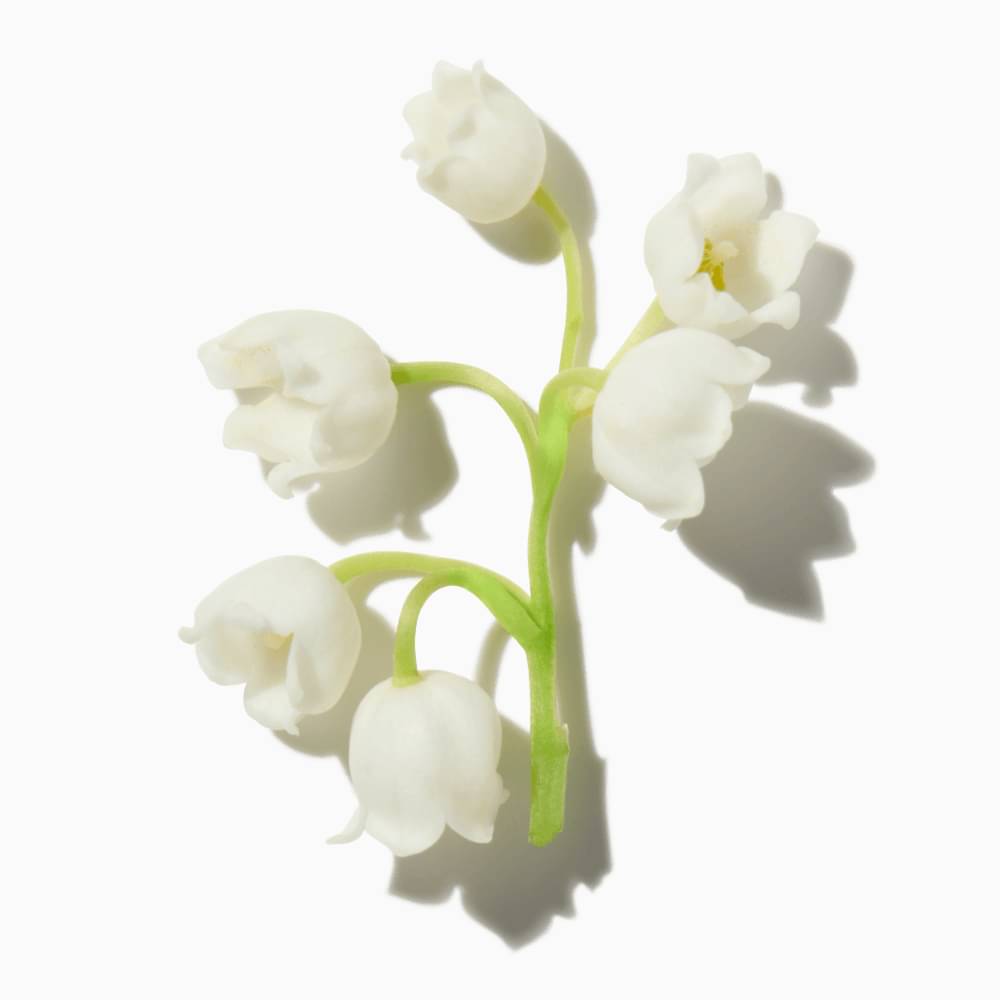 Lily of the Valley Molecule