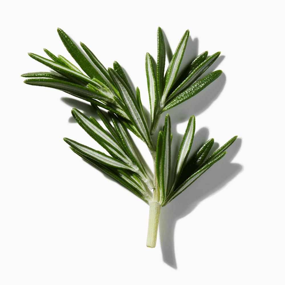 Crushed Rosemary