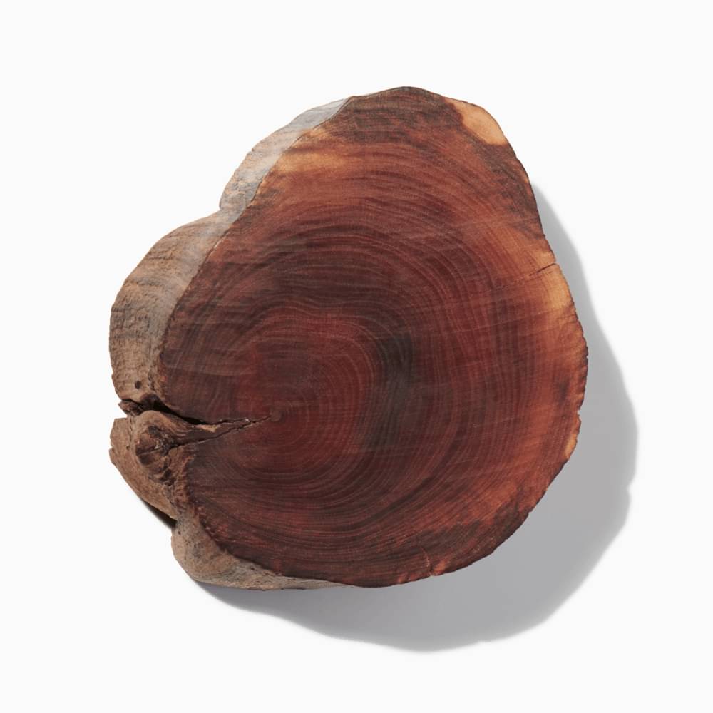 Chestnut Wood Accord