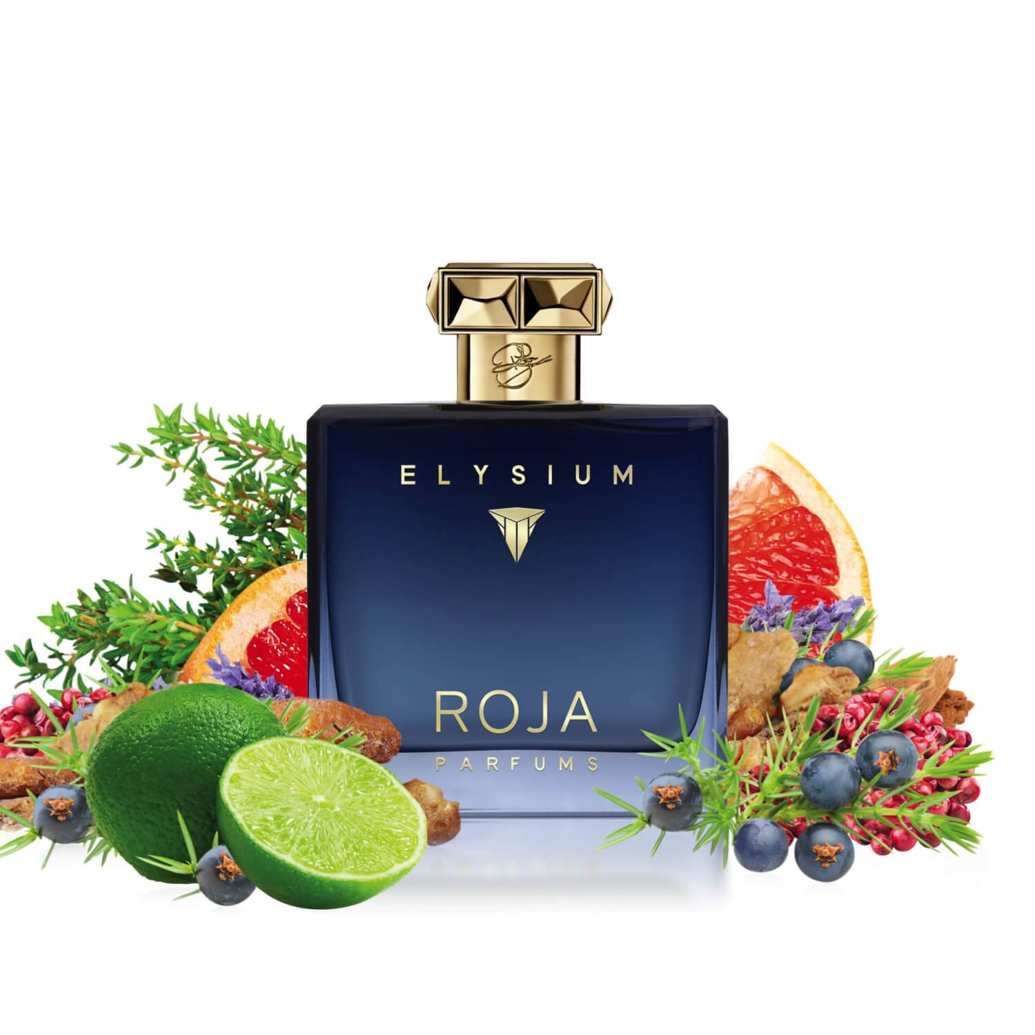 Scentbird | Perfume | Roja Parfums Elysium Pour Homme