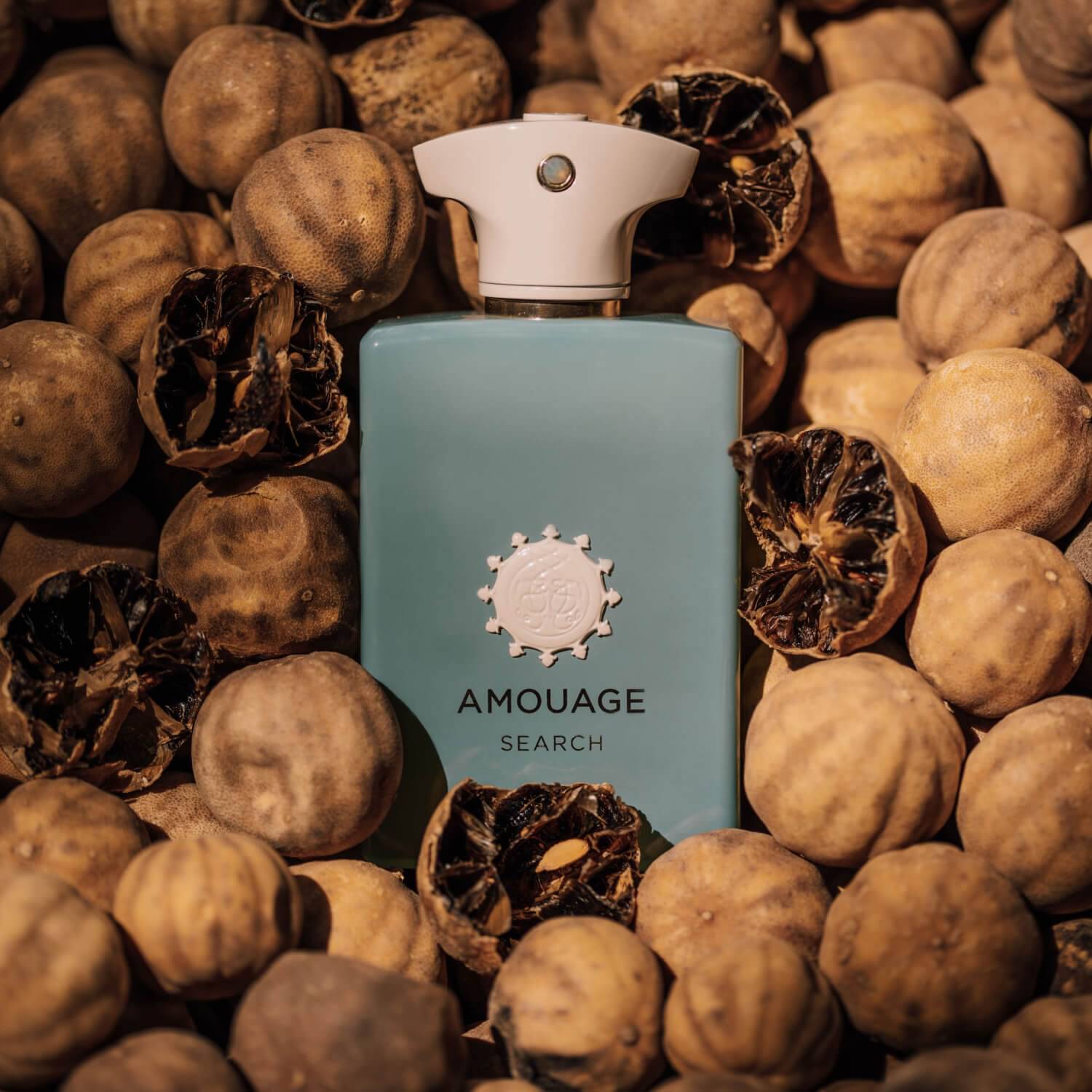 Amouage Search for 16.95 per month Scentbird