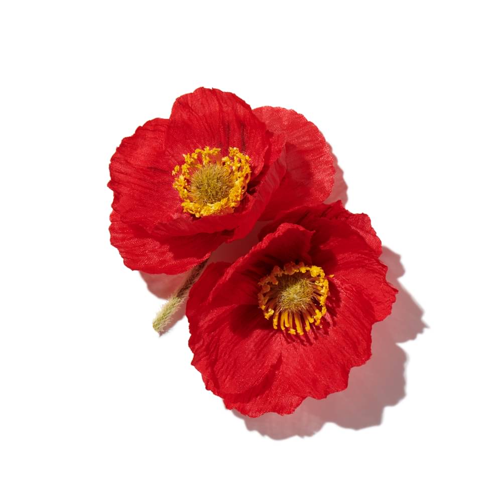 Red Poppy