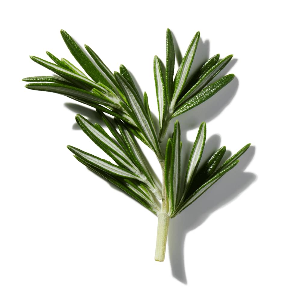 Crushed Rosemary