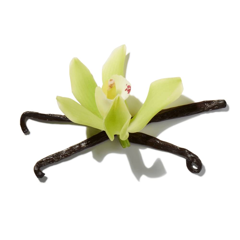 Vanilla Flower