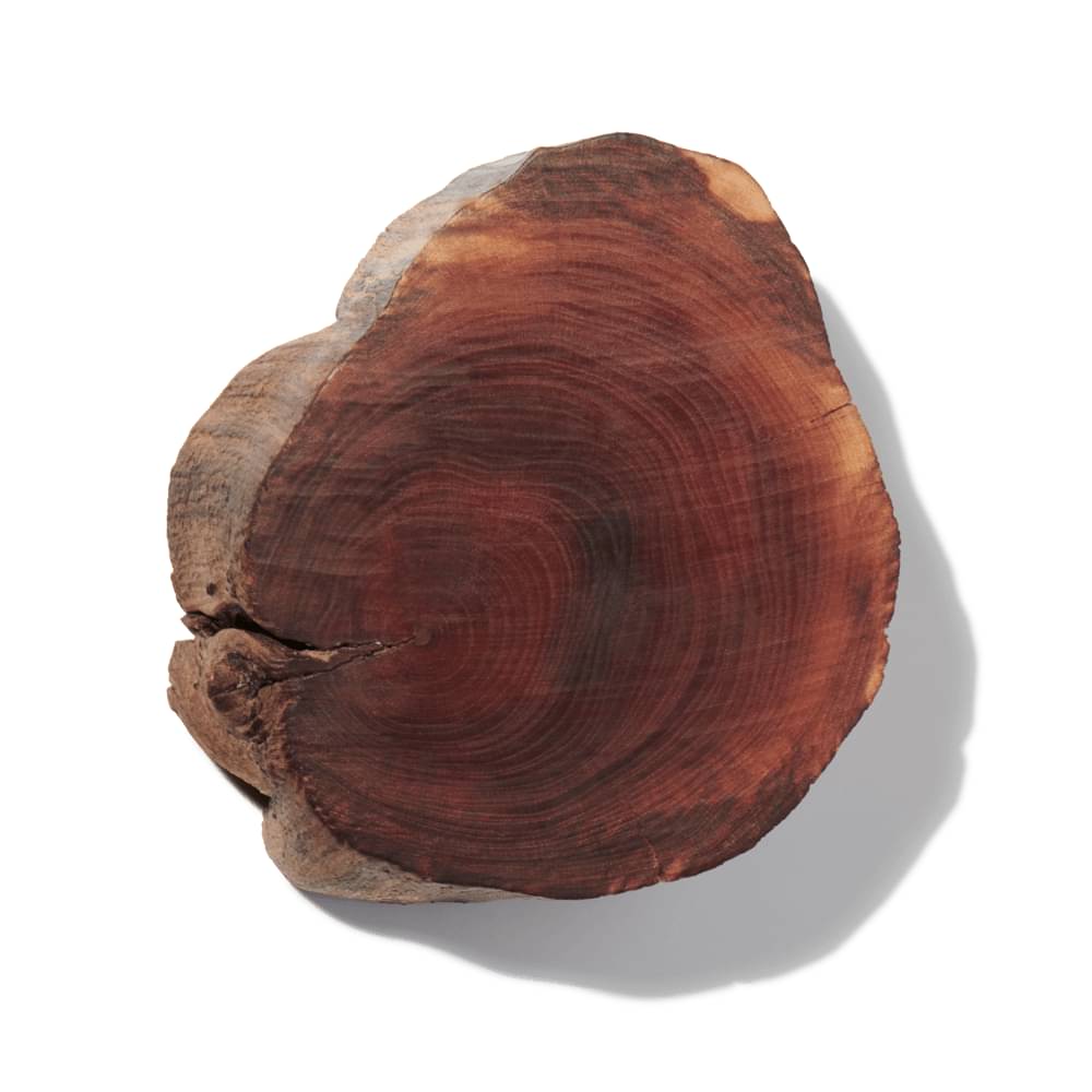 Chestnut Wood Accord