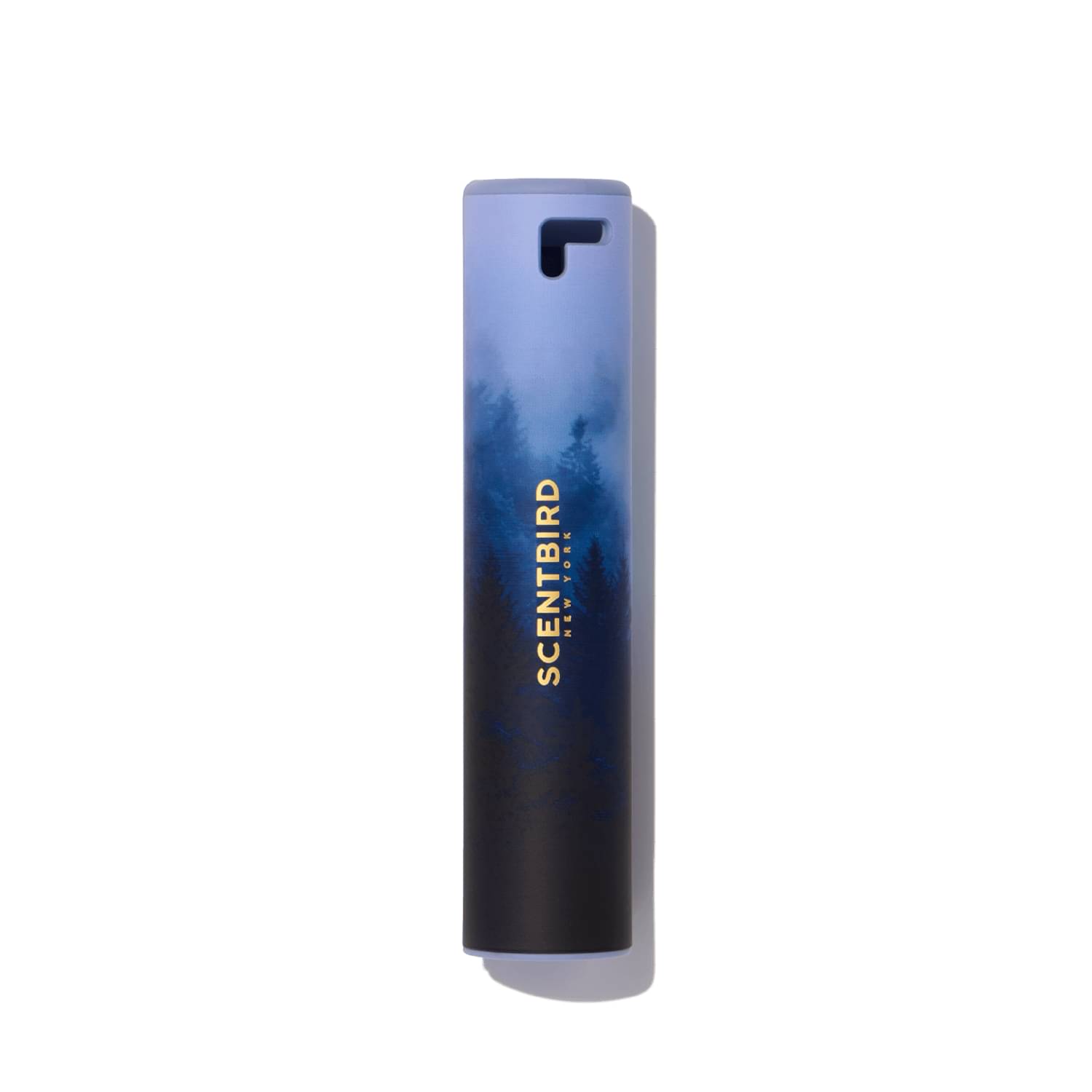Scentbird Caribbean Teal Fragrance Case for $16.95 | Scentbird