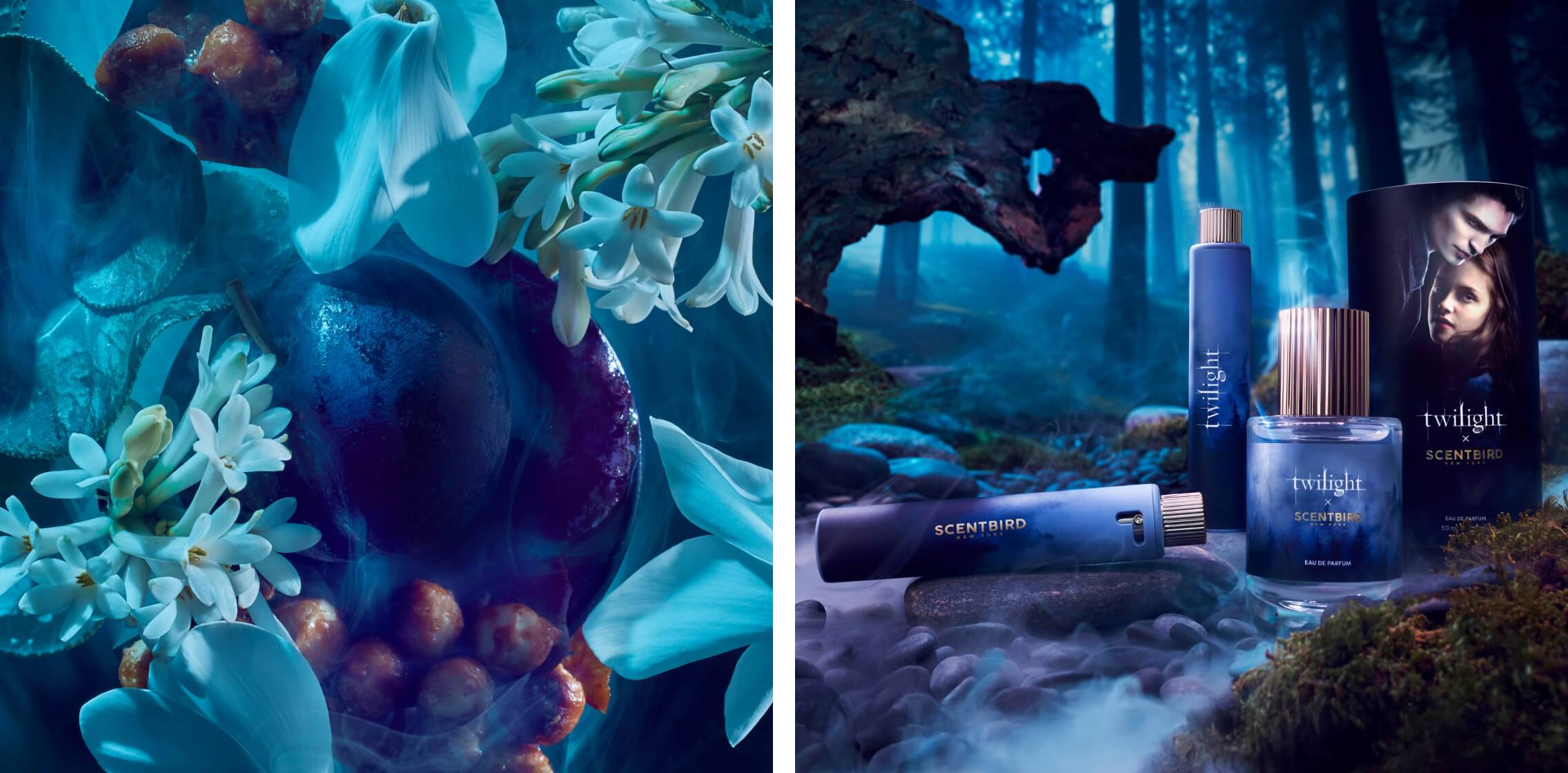 Twilight x Scentbird
