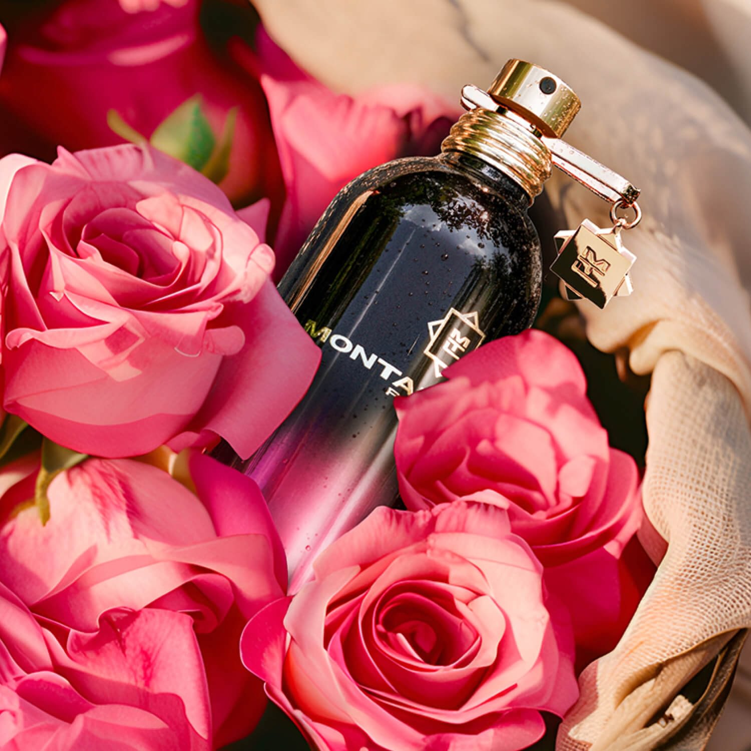 Oud Fool Roses