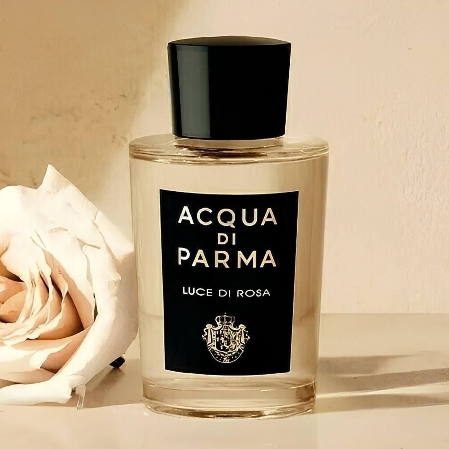 Acqua di Parma Luce di Rosa for $16.95 per month | Scentbird