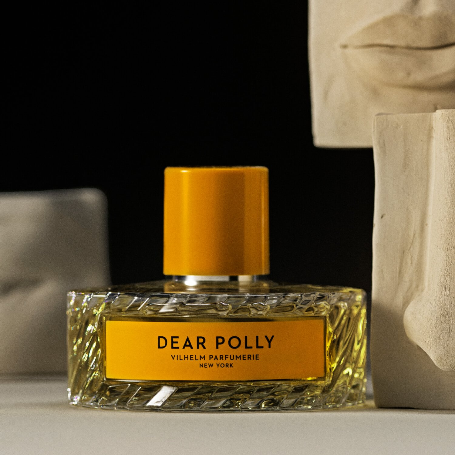 Dear Polly