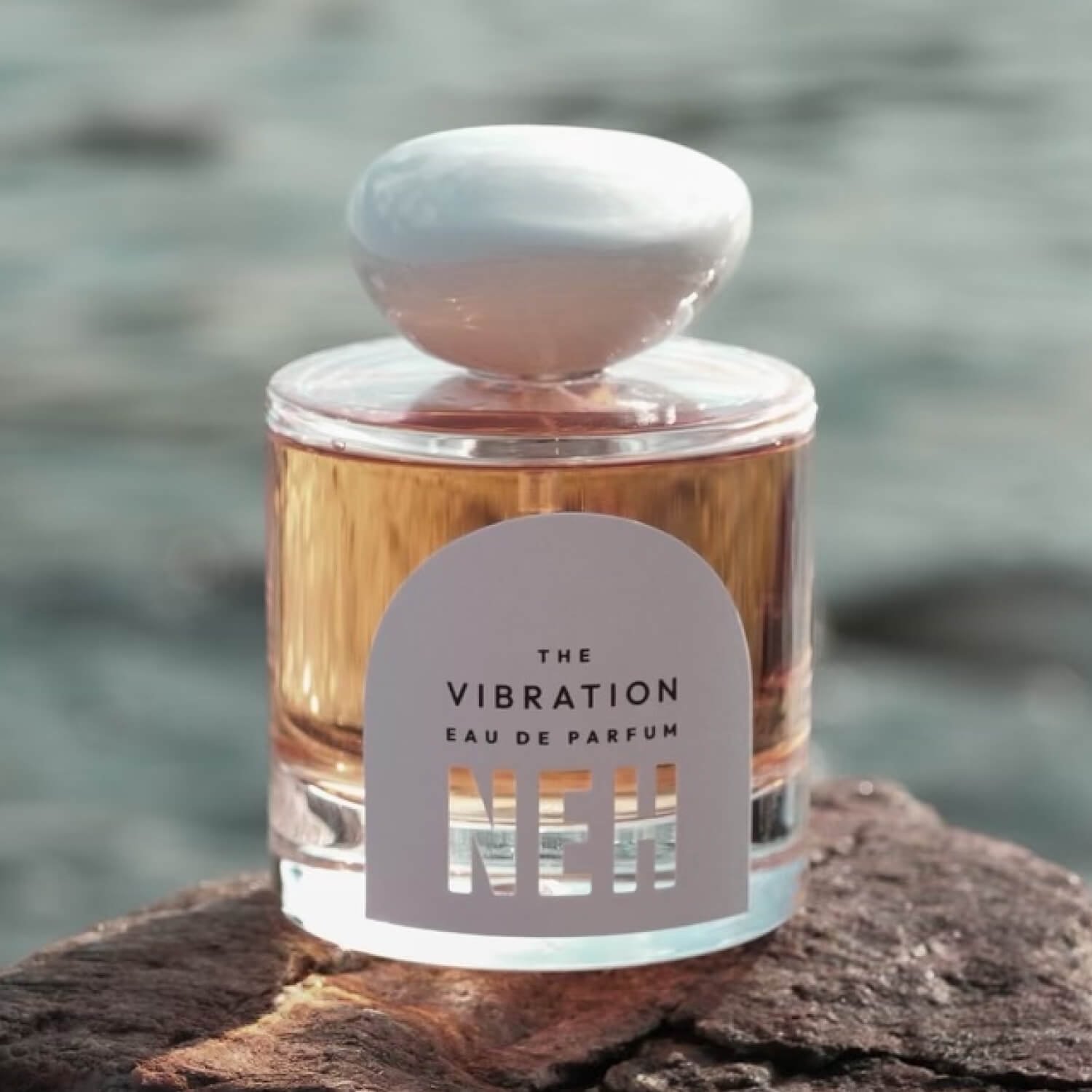 The Vibration