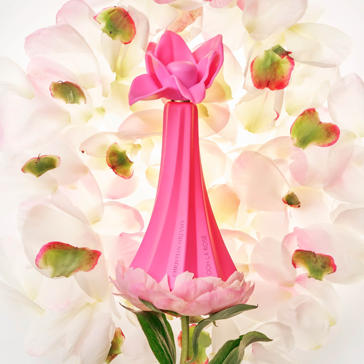 Ooh La Rose
