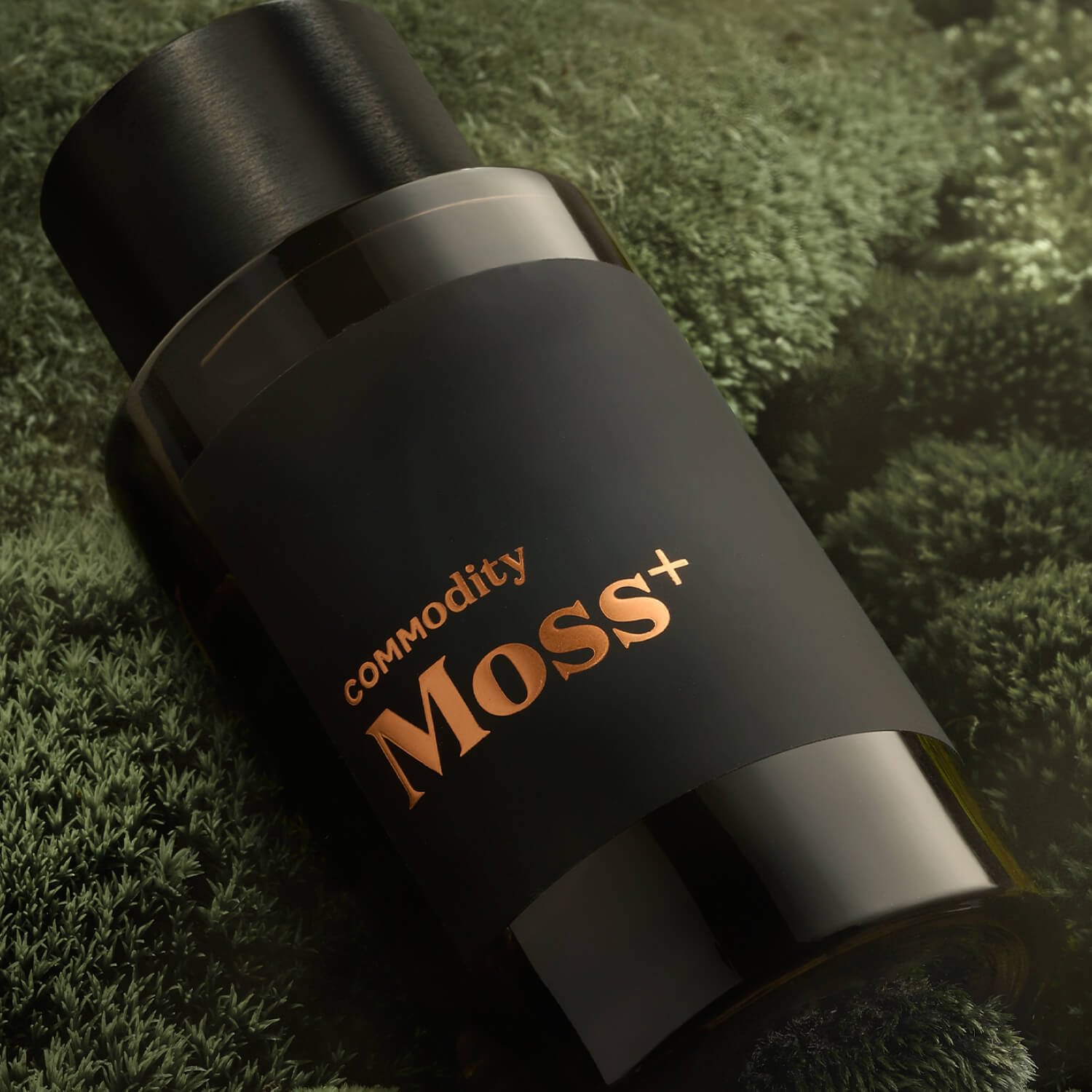 Moss+ Bold