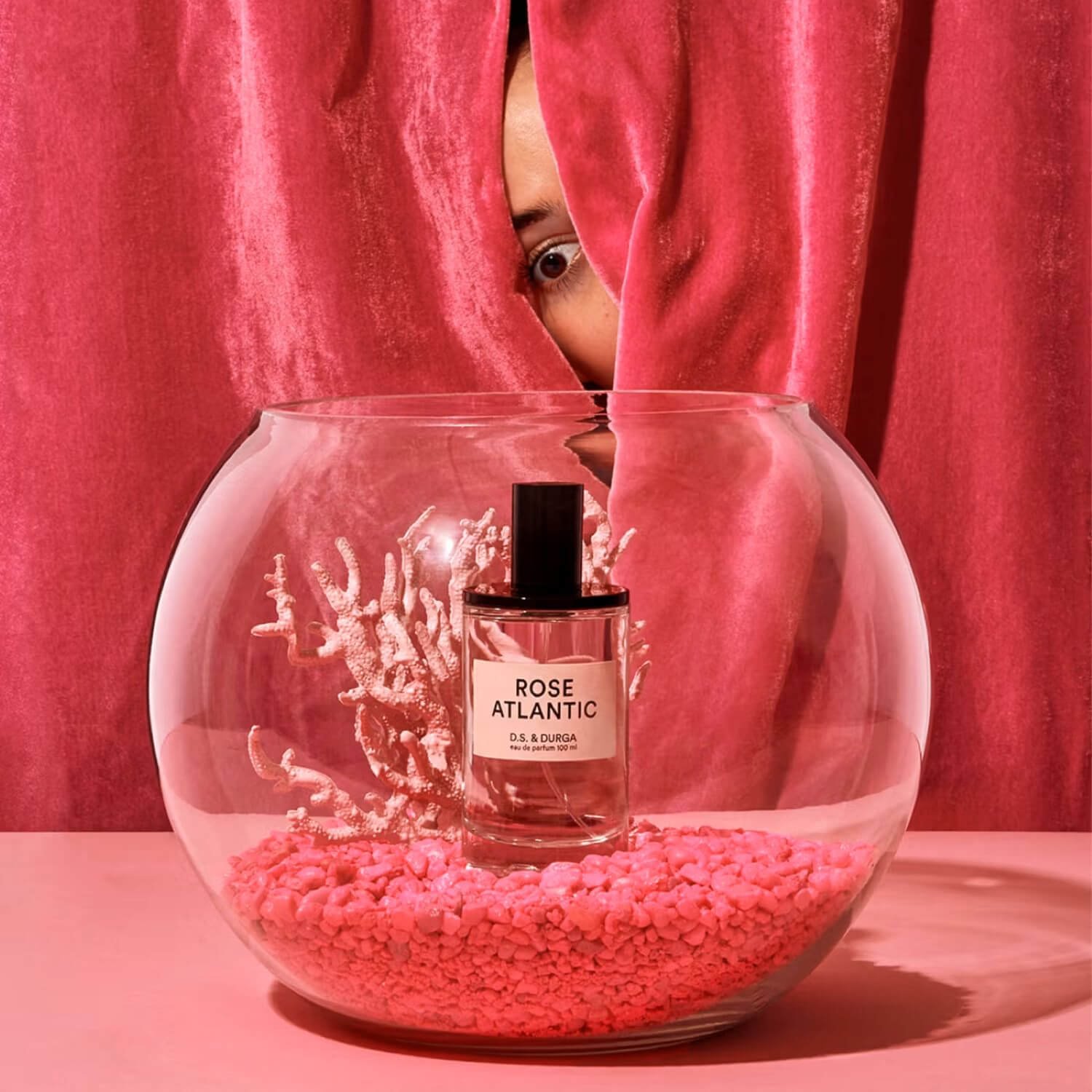 Rose Atlantic