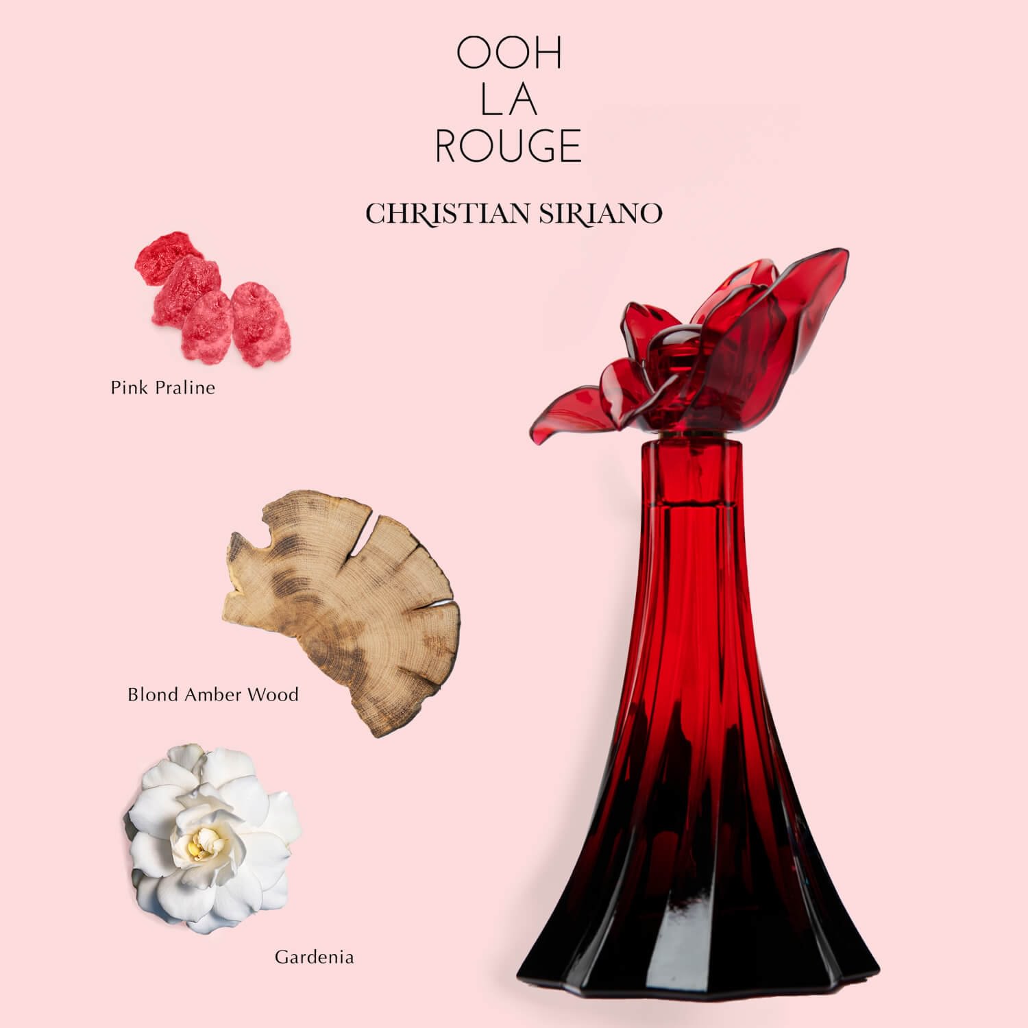 Christian Siriano Discovery Set