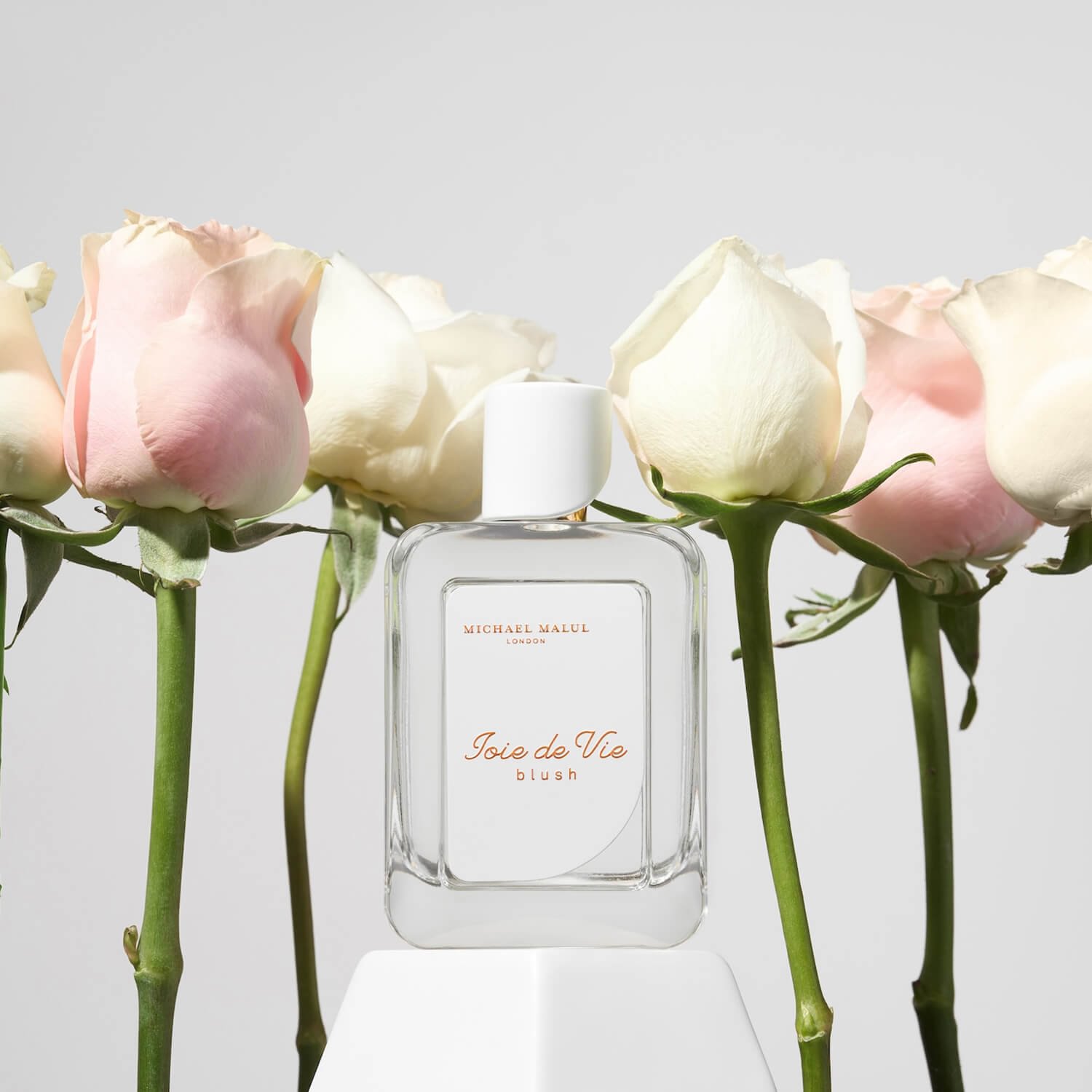 Joie de Vie Blush