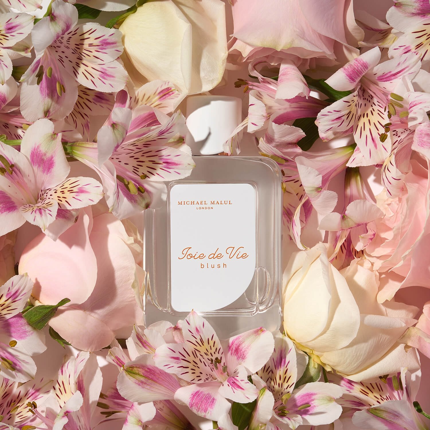 Joie de Vie Blush