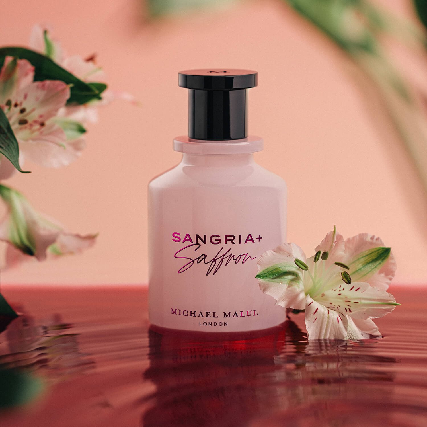 Sangria + Saffron