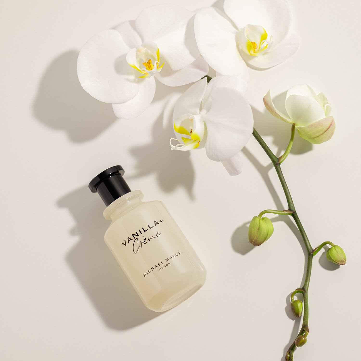 Vanilla + Crème
