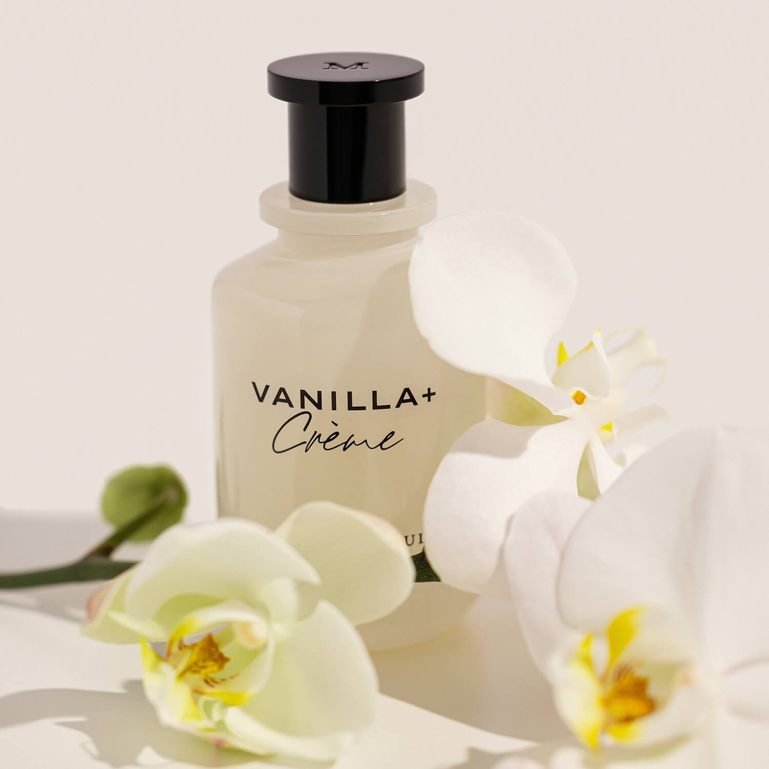 Vanilla + Crème