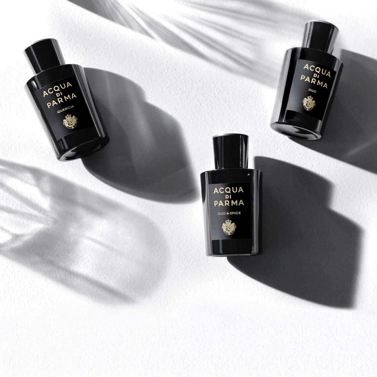 ACQUA DI PARMA QUERCIA 100ml【値下げしました！】 ACQUA DI PARMA QUERCIA 100ml【値下げしました！】 ACQUA DI