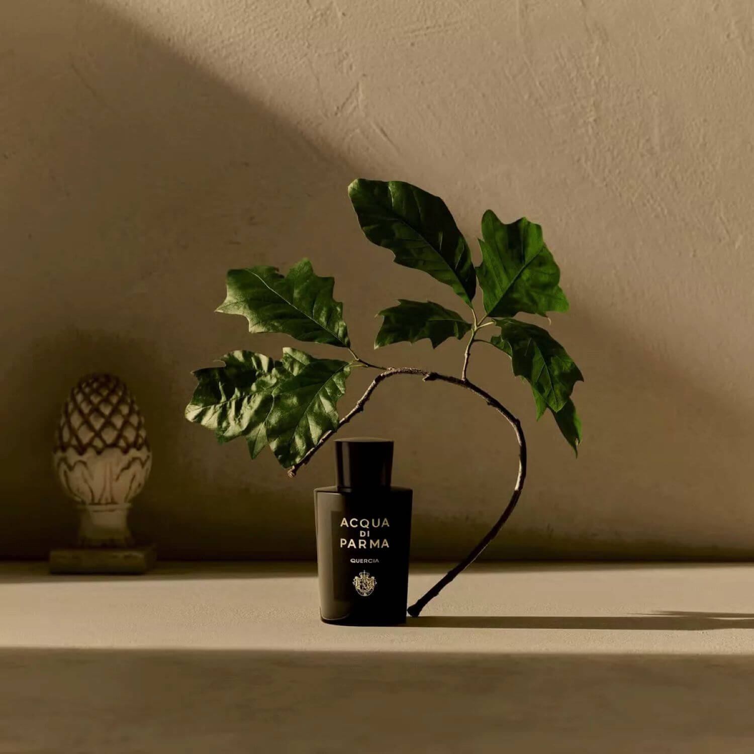 Acqua di Parma Quercia for $16.95 per month | Scentbird
