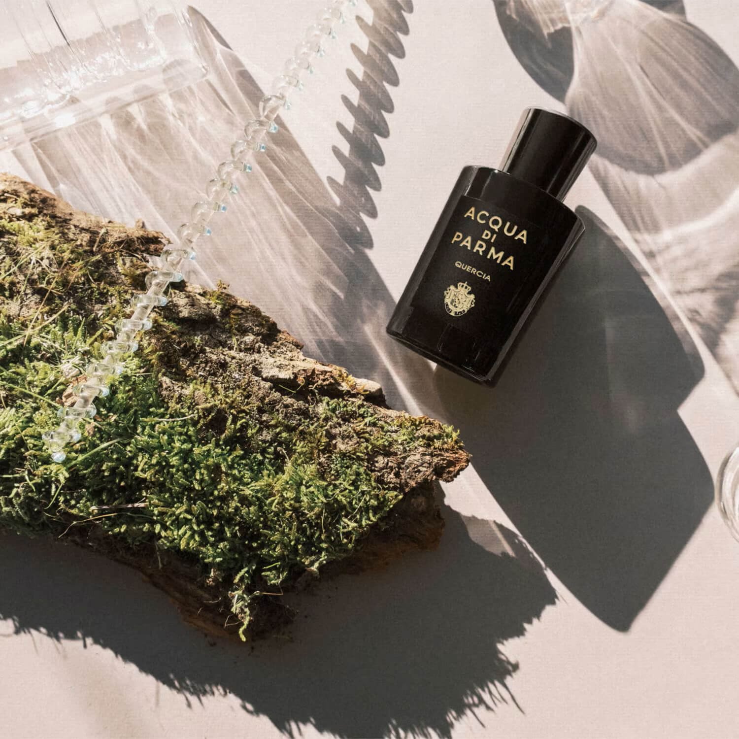 Acqua di Parma Quercia for $16.95 per month | Scentbird