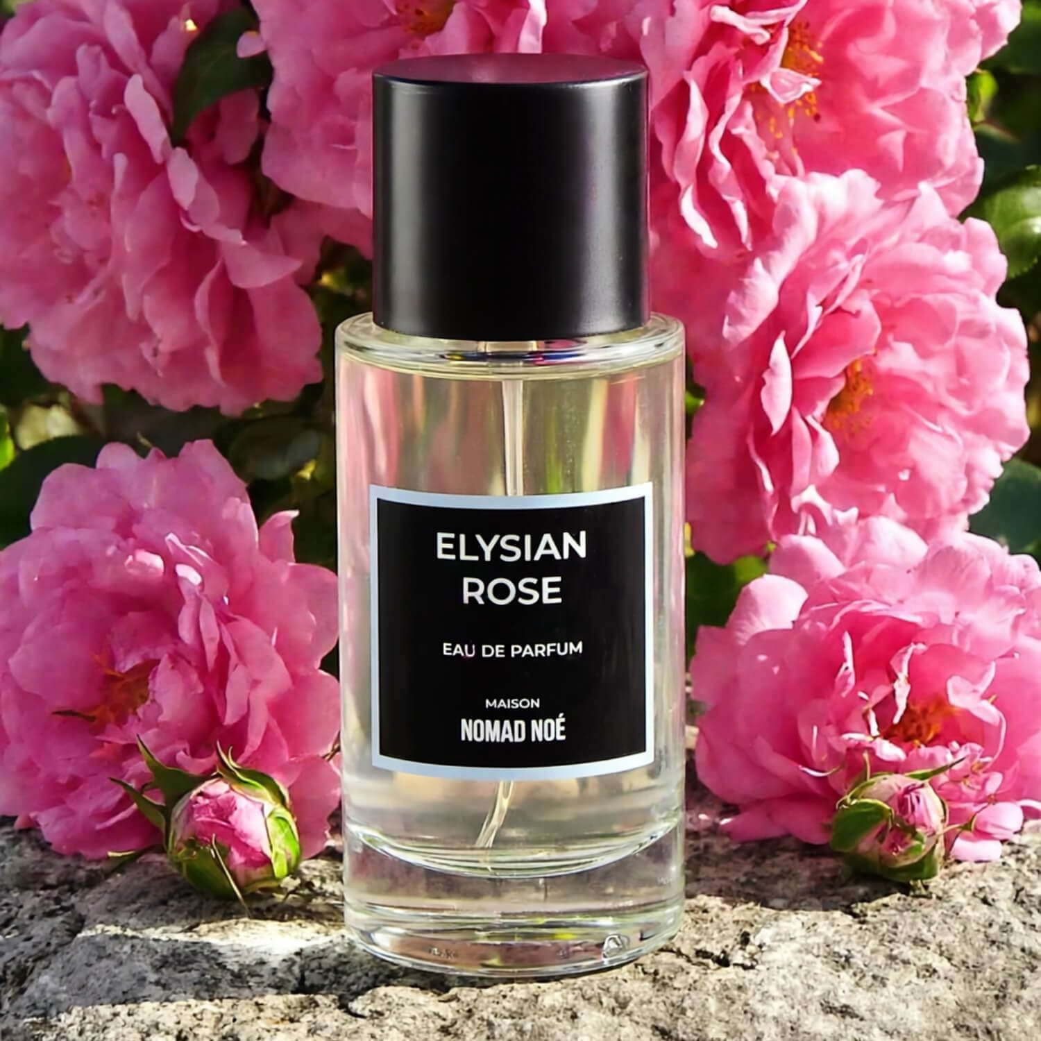 Elysian Rose