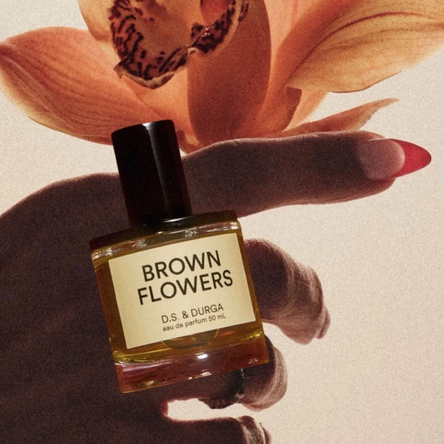 Brown Flowers