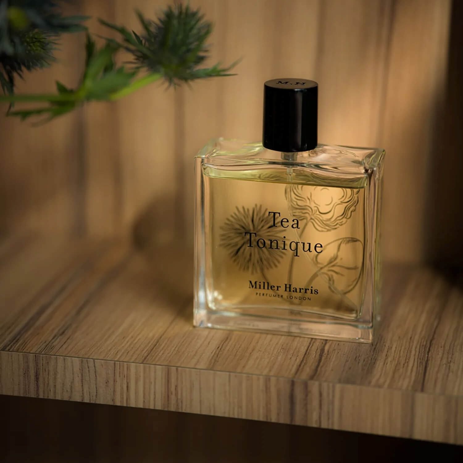 Miller Harris Tea Tonique 50ml オーディパルファム Amazon.com: Tea Tonique 50ml 1.7oz
