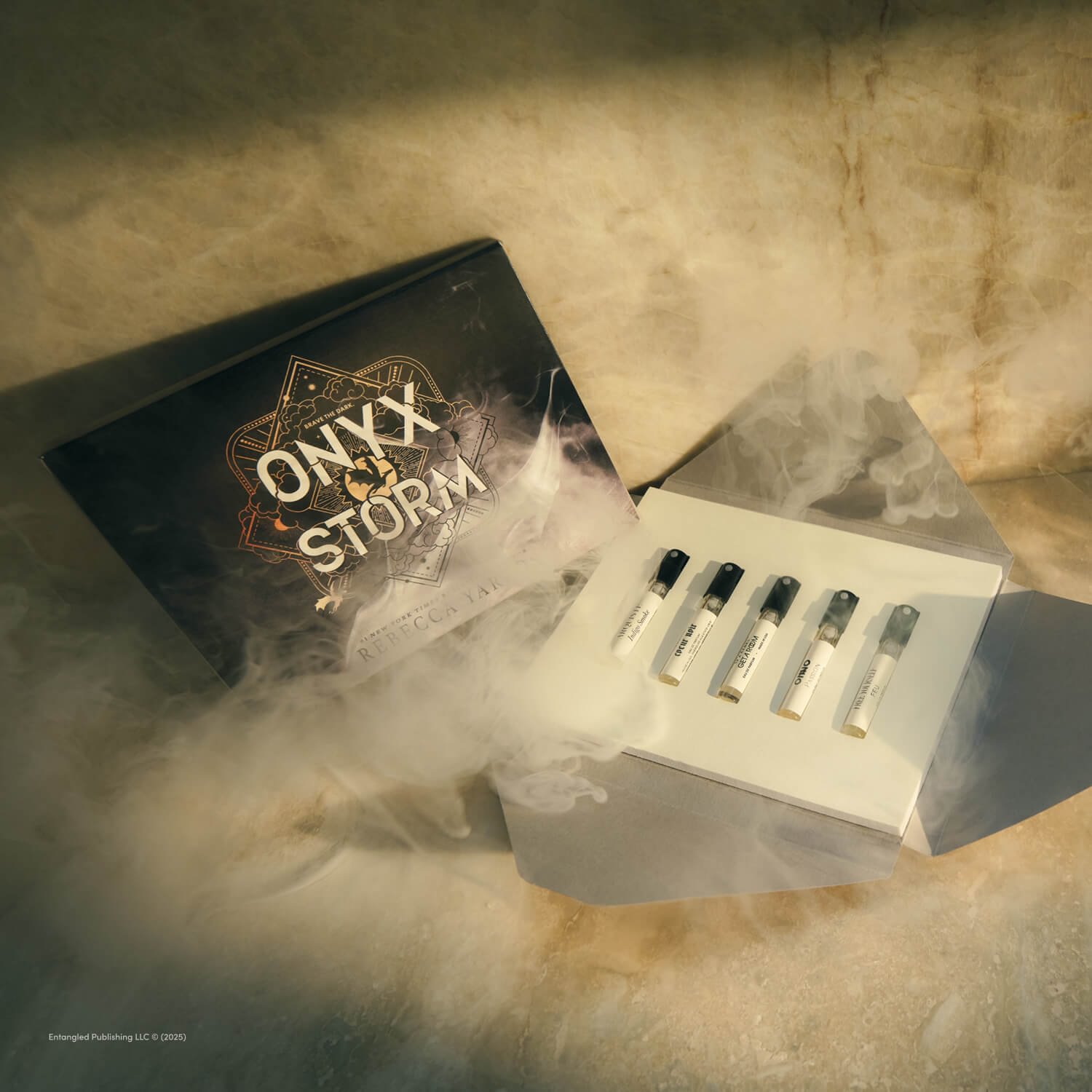 Onyx Storm Discovery Set