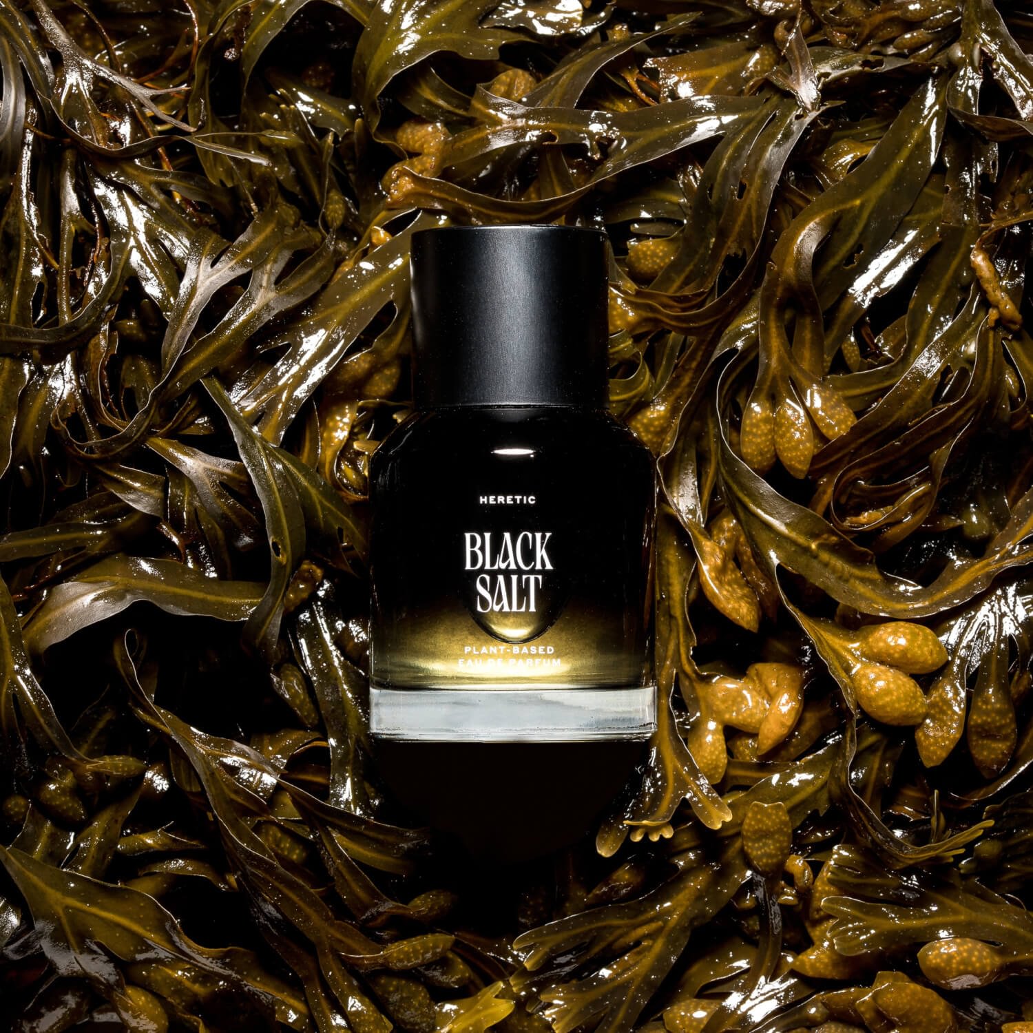 Heretic Parfum Black Salt for $17.95 per month | Scentbird