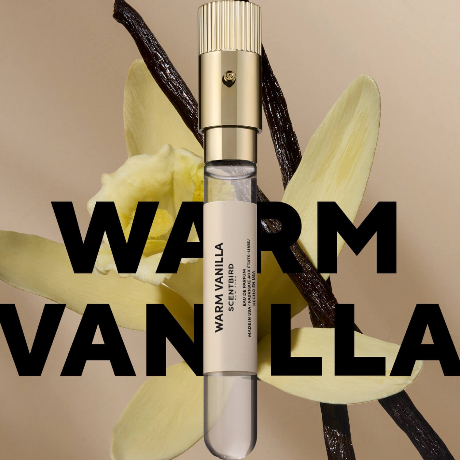 African Forest Elephant