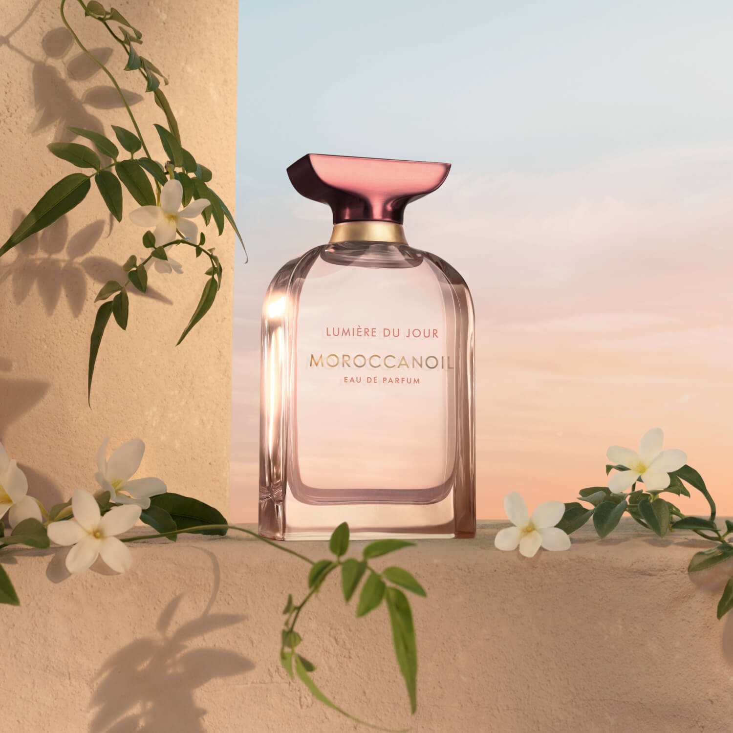 Moroccanoil Lumière du Jour | Scentbird