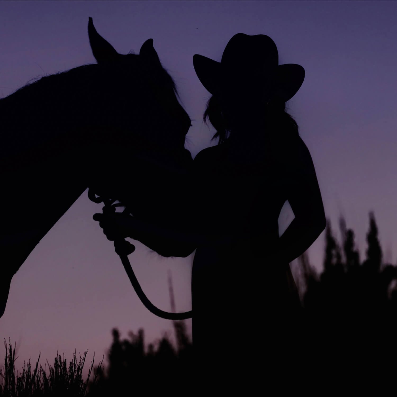 Yellowstone Dusk Perfume