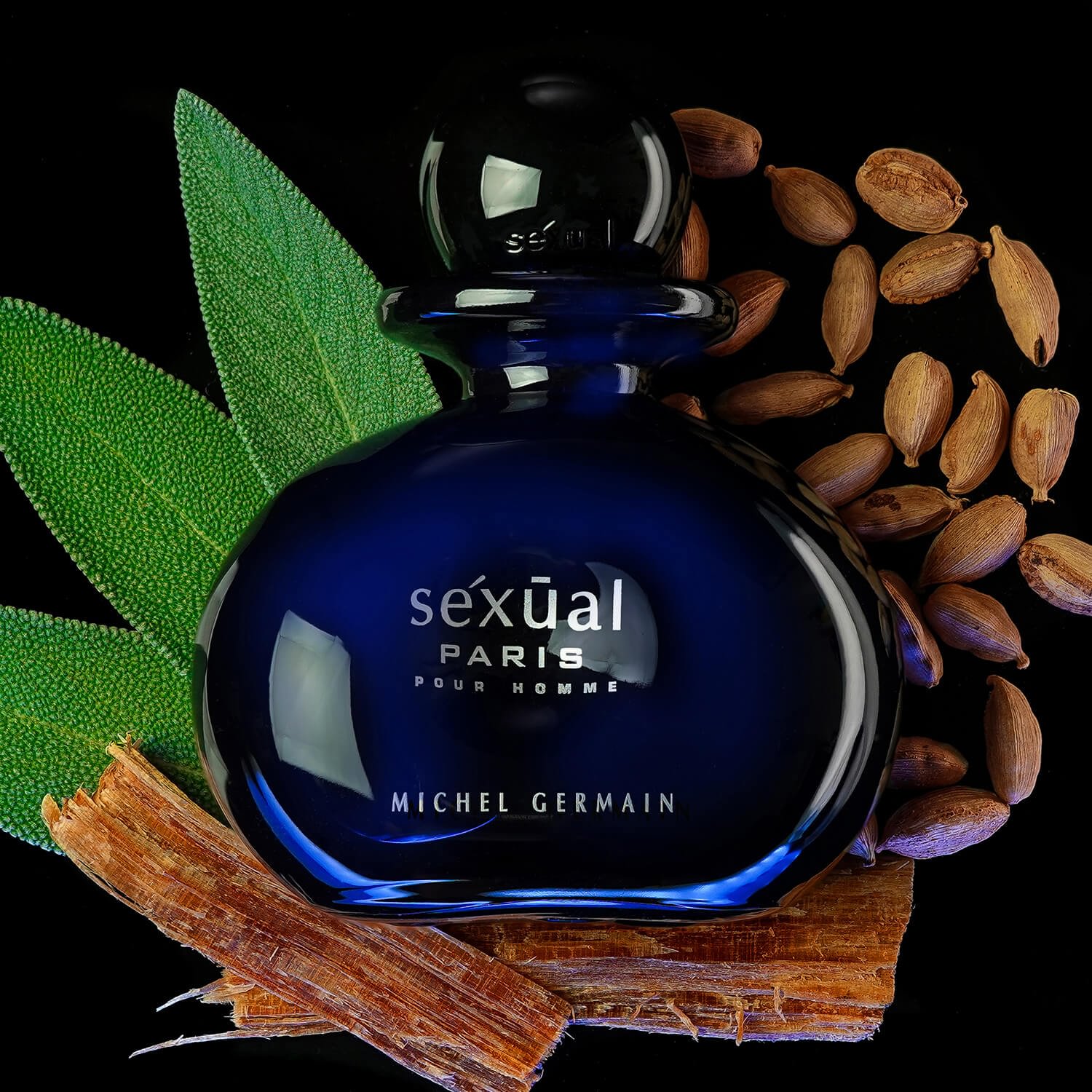 Sexual Paris Pour Homme