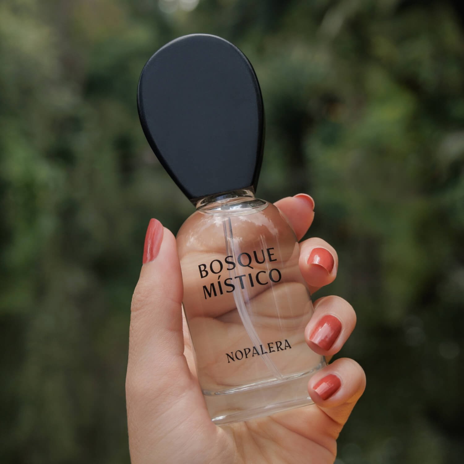 Bosque Mistico