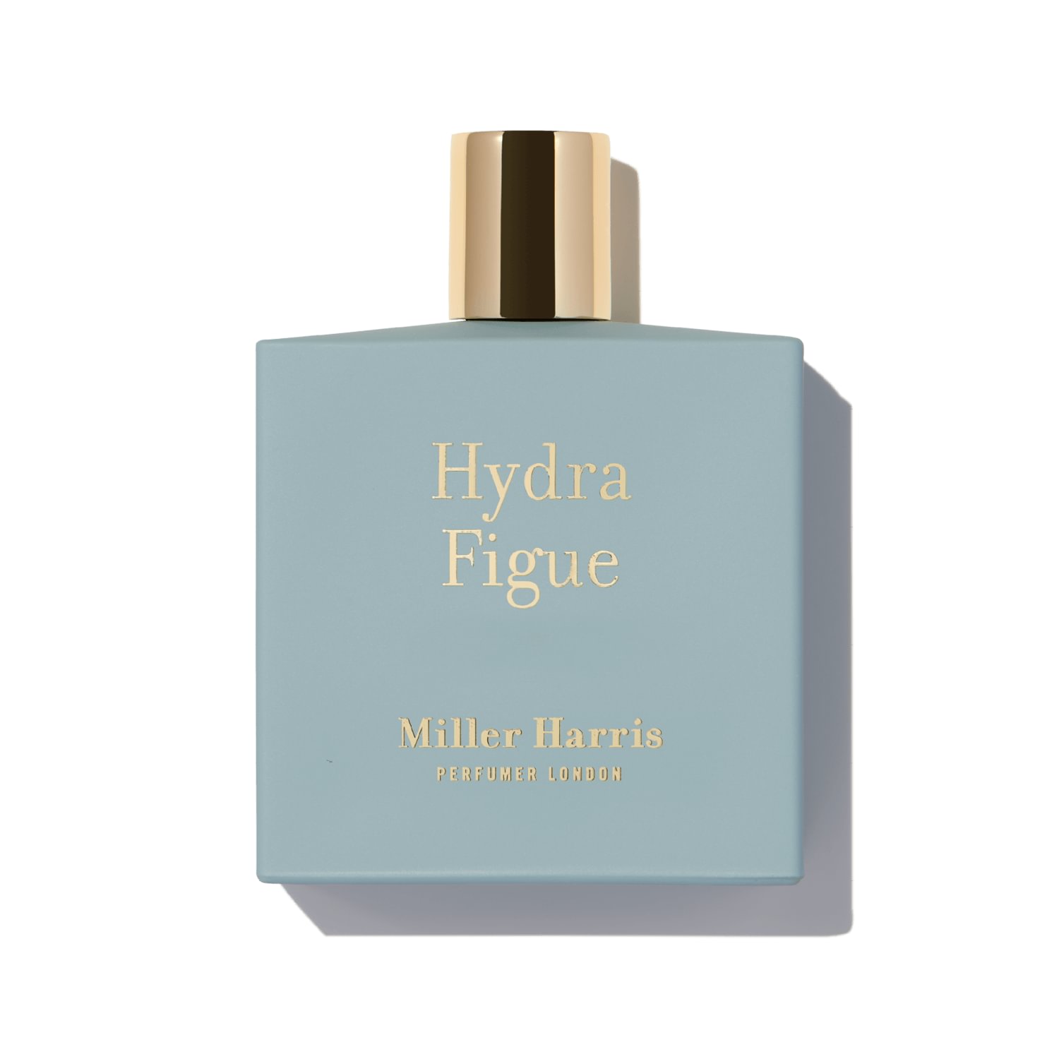 Hydra Figue