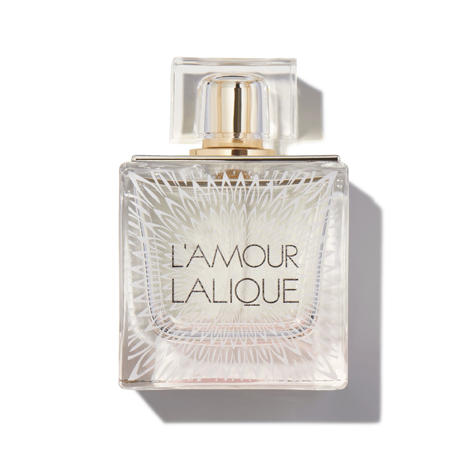 c2NlbnRiaXJkL3N0YWdlL2ltZy0xNz