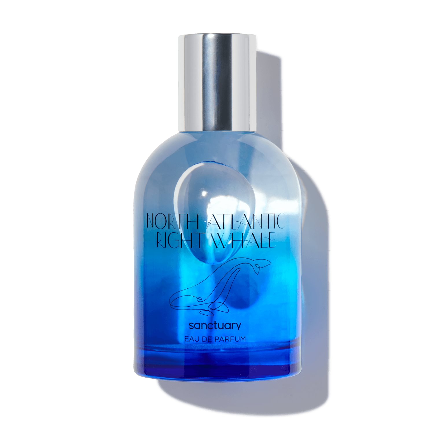 Get Sanctuary North Atlantic Right Whale scent at Scentbird