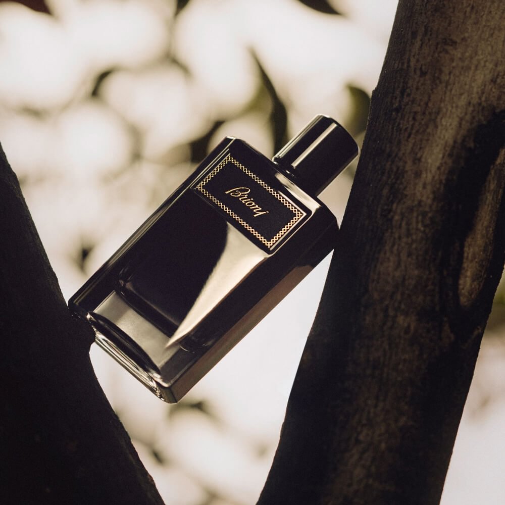 Get BRIONI Brioni Intense at Scentbird for $17.95