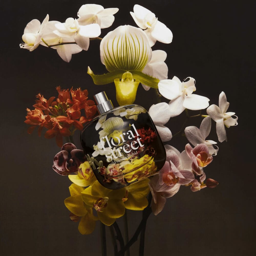 Wild Vanilla Orchid