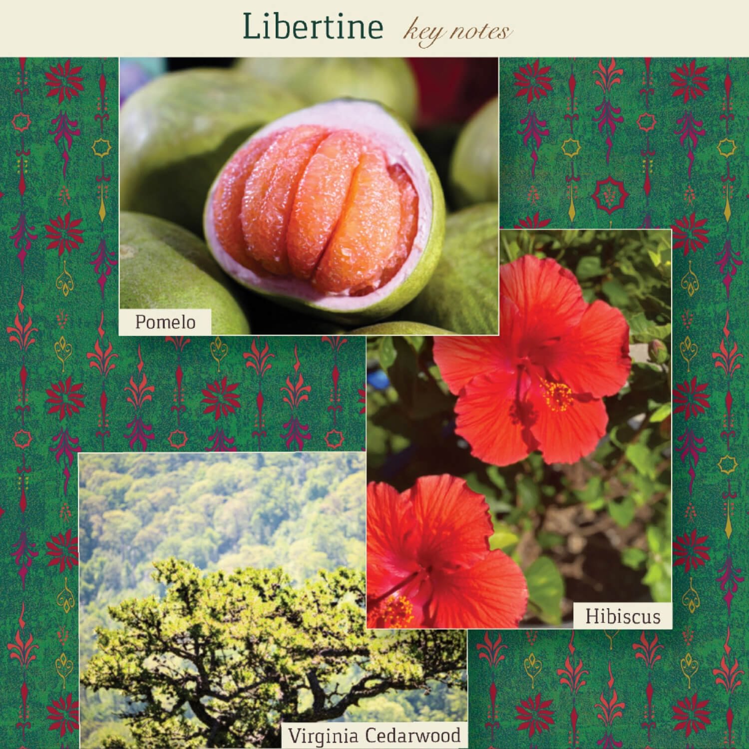 Libertine