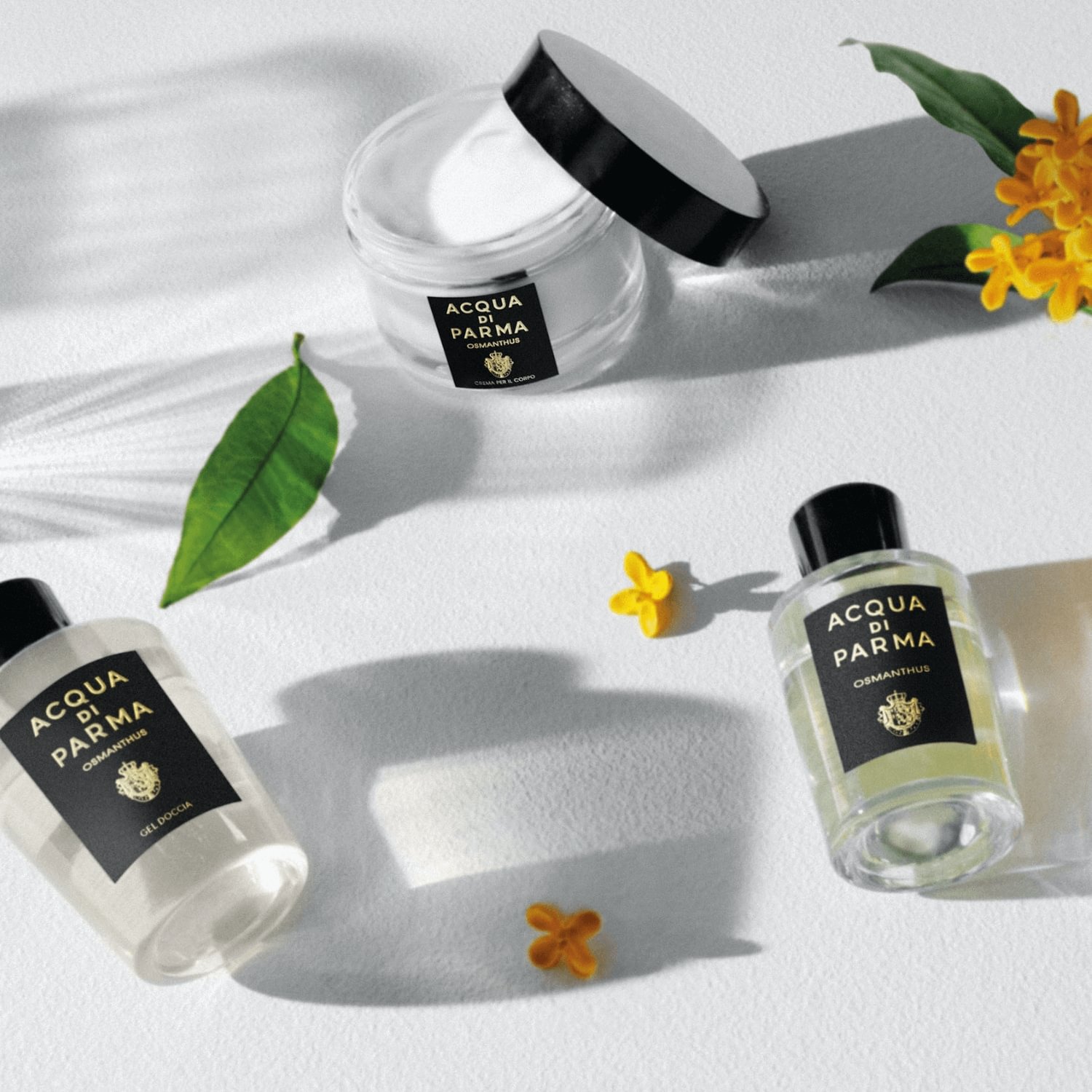 Acqua di Parma Osmanthus Body Cream for $120.00 | Scentbird