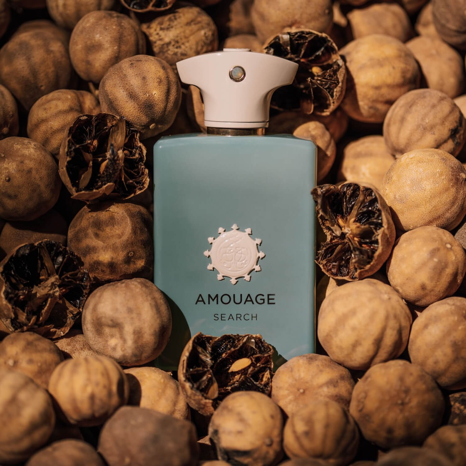 Amouage Search for $8.95 | Scentbird