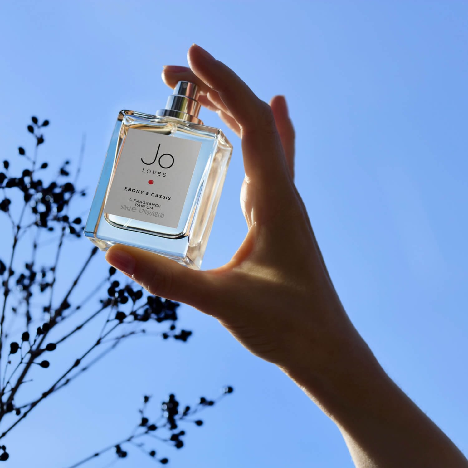 Jo Loves Ebony & Cassis for $17.95 per month | Scentbird