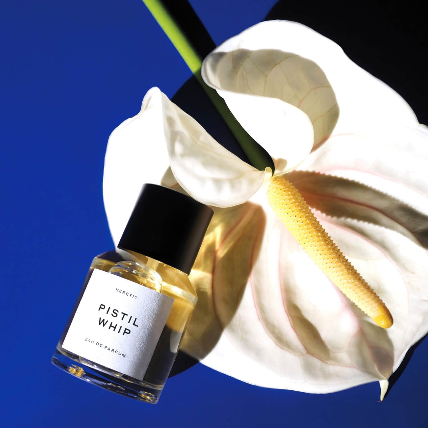 Pistil Whip