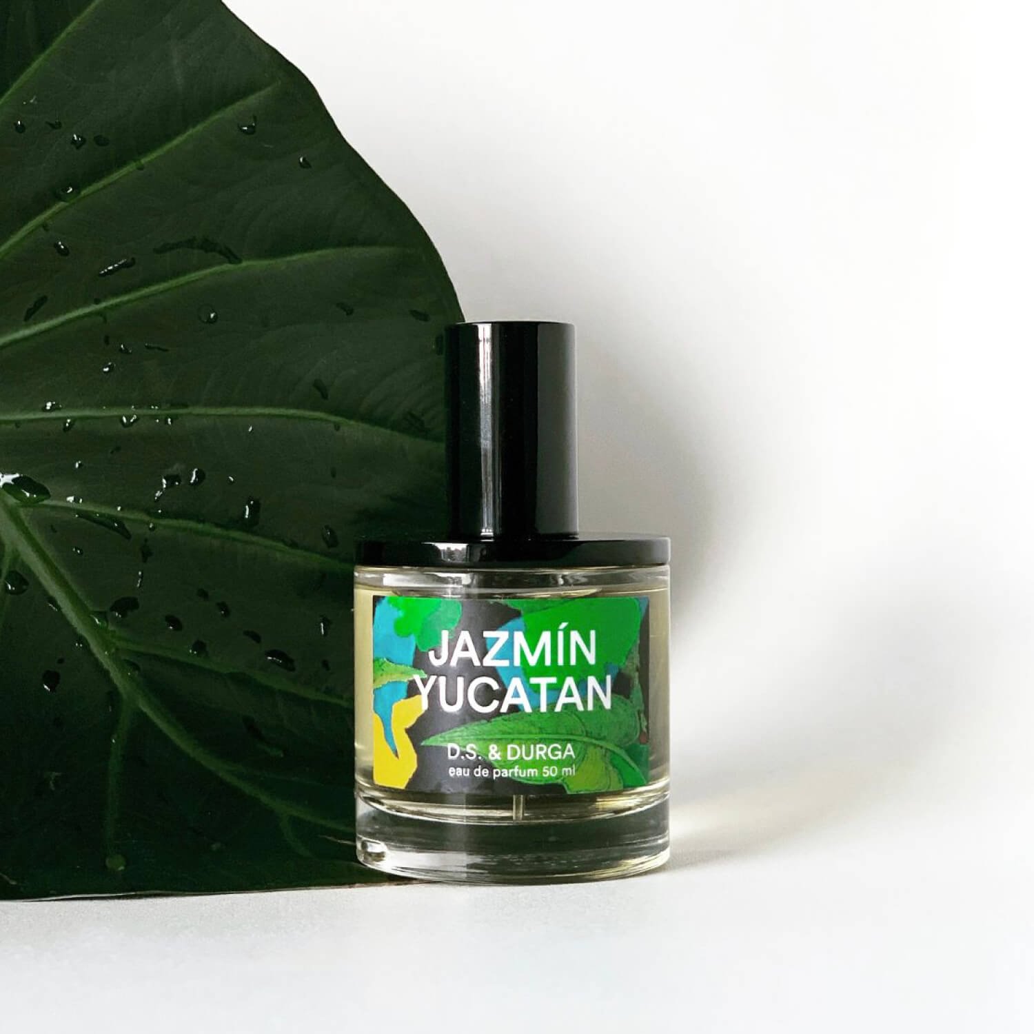 Jazmin Yucatan