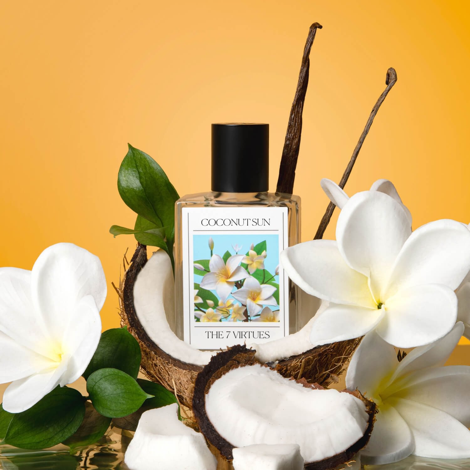 Coconut Sun