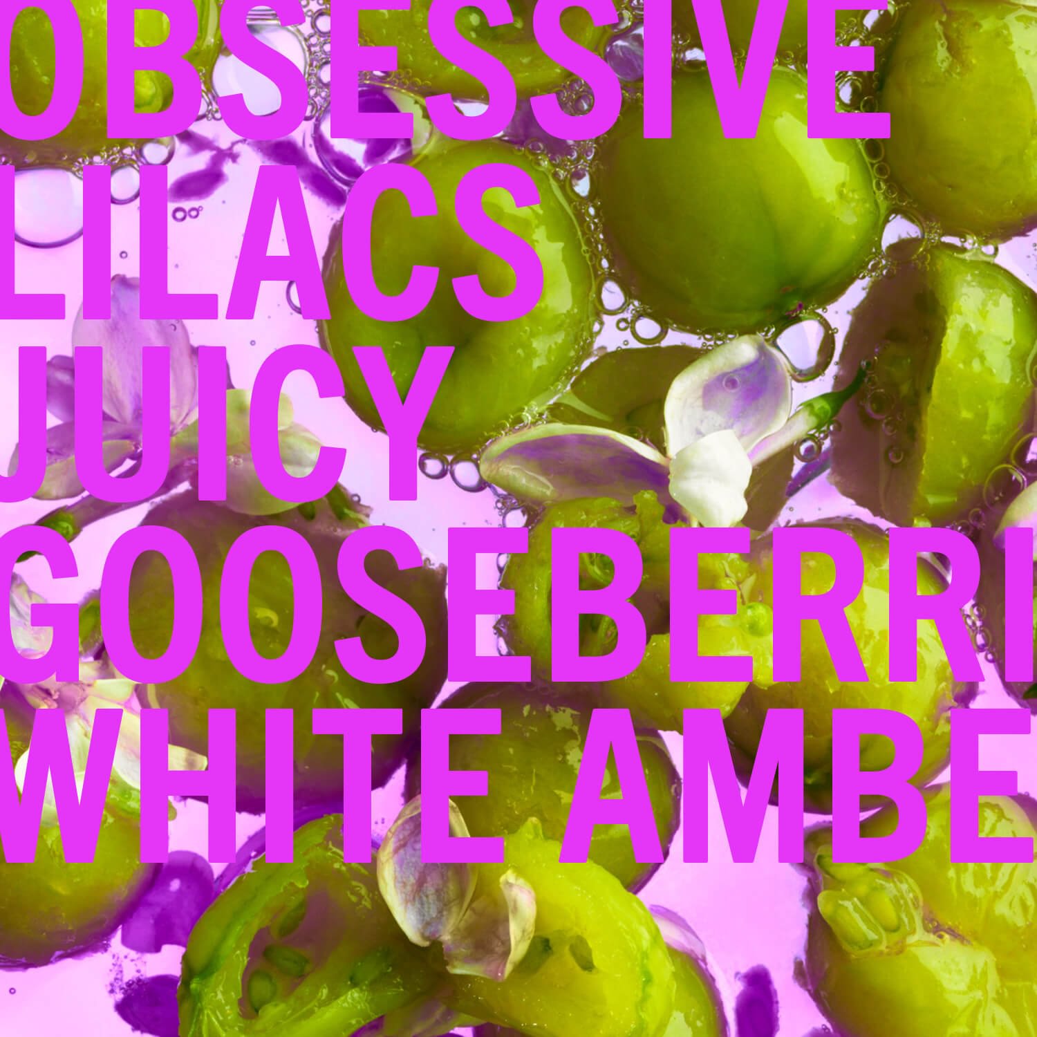 Lilacs & Gooseberries